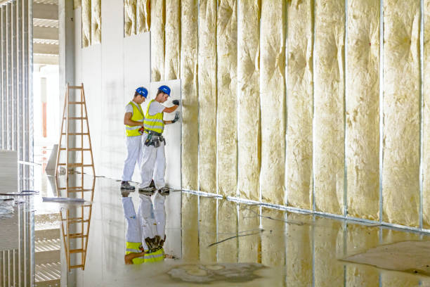 Best Insulation for Specific Applications in Francis, UT